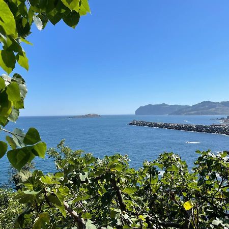 Bertoko Urdaibai II Διαμέρισμα Μπερμέο Εξωτερικό φωτογραφία